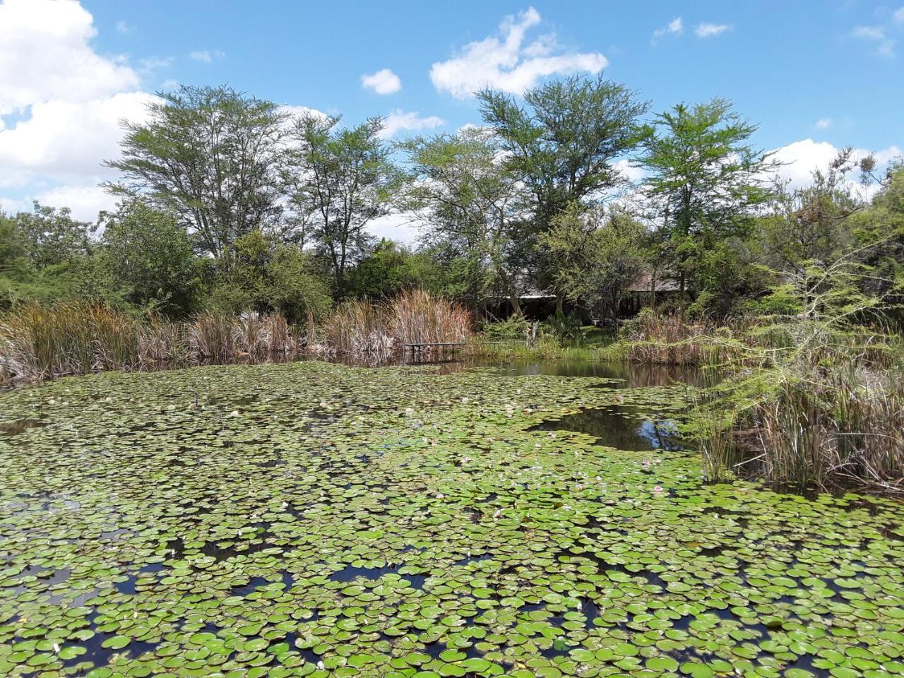 Bush Pub & Inn Hoedspruit Eksteriør bilde